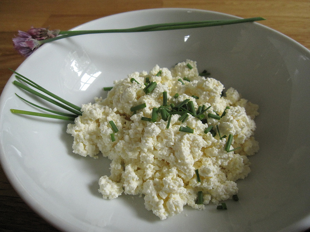 FE Cottage Cheese