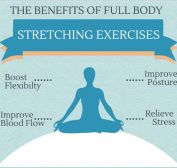 The Benefits of Full Body Stretching Exercises - Infographic ...