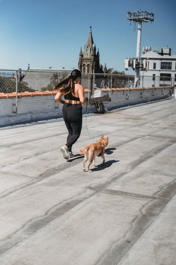  A woman giving a dog a treat