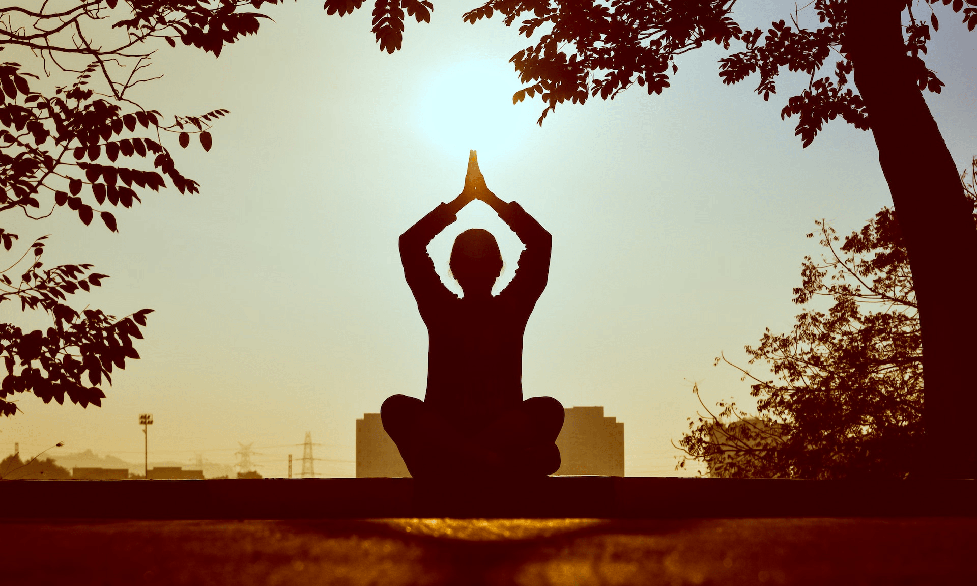 Silhouette of a person during daytime